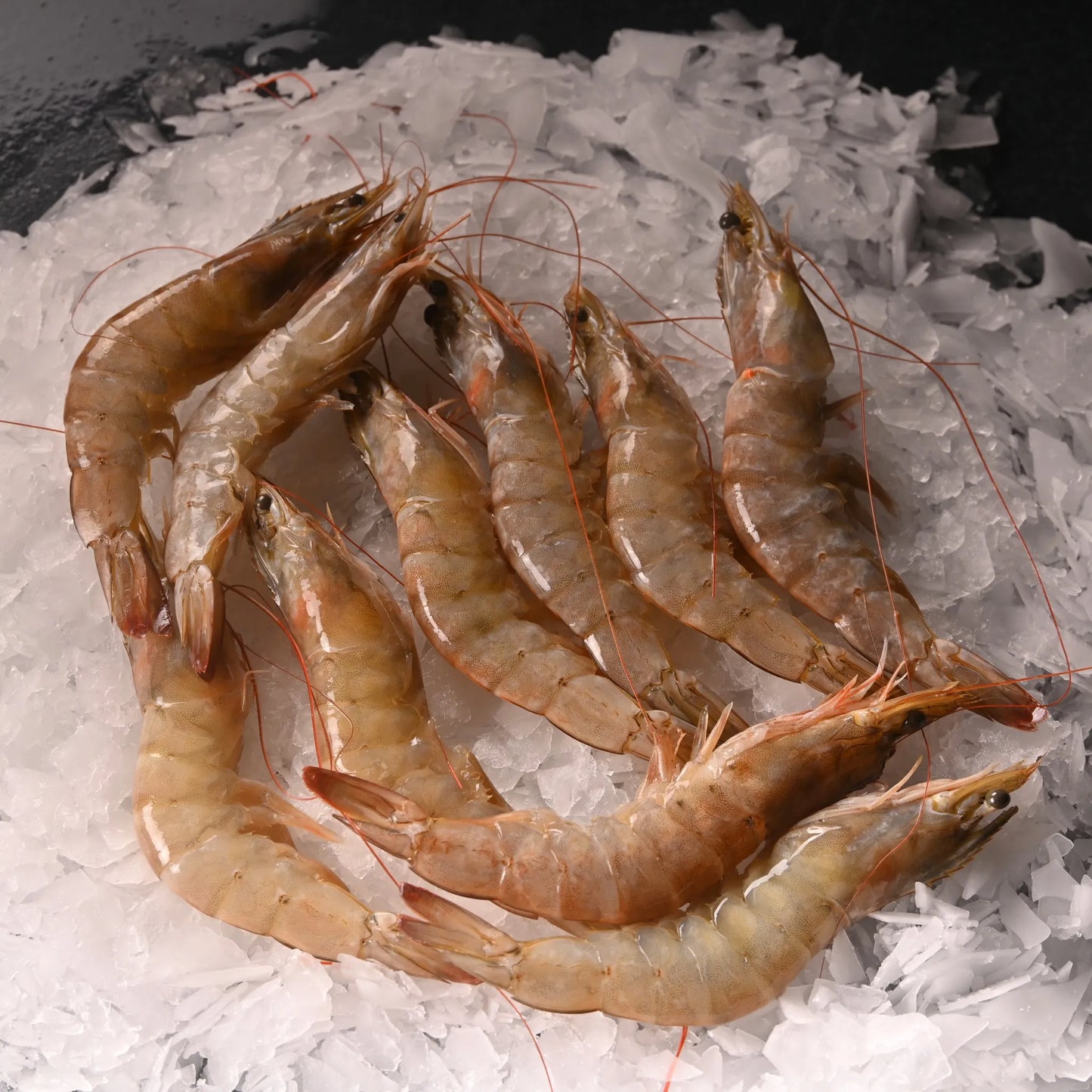 Jumbo Karides (25/30) 5 Kg Kasa