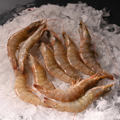 Jumbo Karides (25/30) 5 Kg Kasa