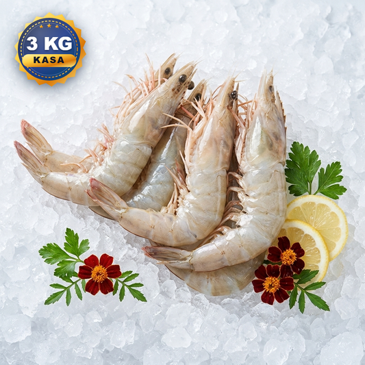 XXL JUMBO KARİDES 3 KG KASA ( 16/20 )