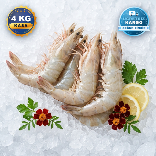 XXL JUMBO KARİDES 4 KG KASA ( 16/20 )